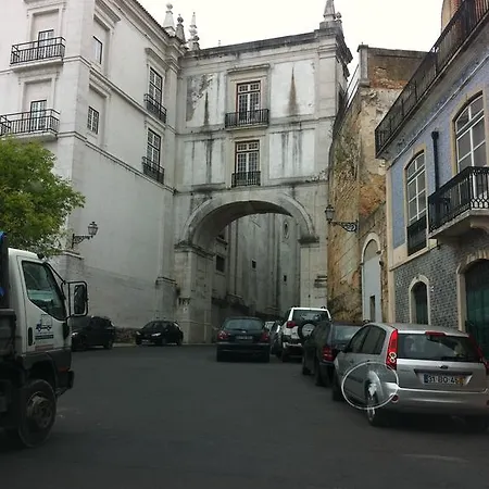 S.vicente *