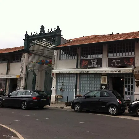 S.vicente *