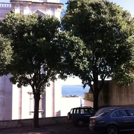 S.vicente