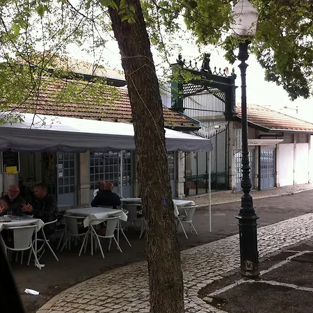 S.vicente * Lizbona
